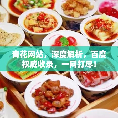 青花網(wǎng)站，深度解析，百度權(quán)威收錄，一網(wǎng)打盡！