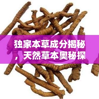 獨家本草成分揭秘，天然草本奧秘探尋