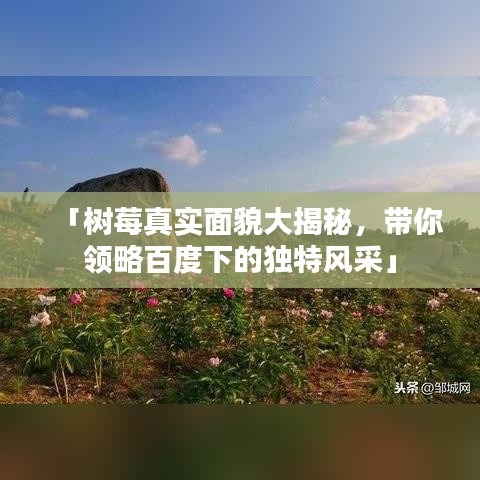 「樹莓真實面貌大揭秘，帶你領(lǐng)略百度下的獨特風(fēng)采」