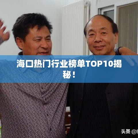 海口熱門(mén)行業(yè)榜單TOP10揭秘！