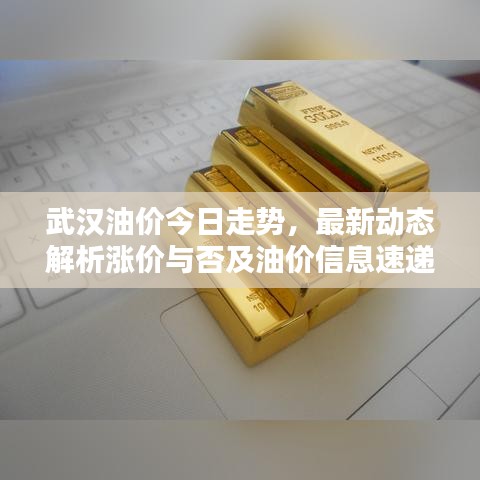 武漢油價(jià)今日走勢(shì)，最新動(dòng)態(tài)解析漲價(jià)與否及油價(jià)信息速遞