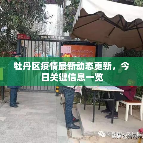 牡丹區(qū)疫情最新動(dòng)態(tài)更新，今日關(guān)鍵信息一覽
