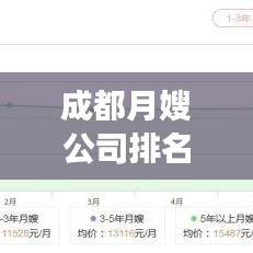 成都月嫂公司排名揭秘，專業(yè)市場(chǎng)分析與深度洞察