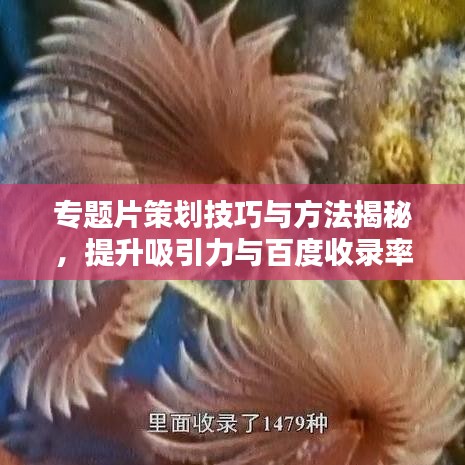 全神貫注
