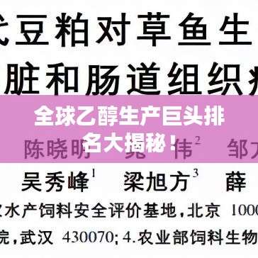 全球乙醇生產(chǎn)巨頭排名大揭秘！