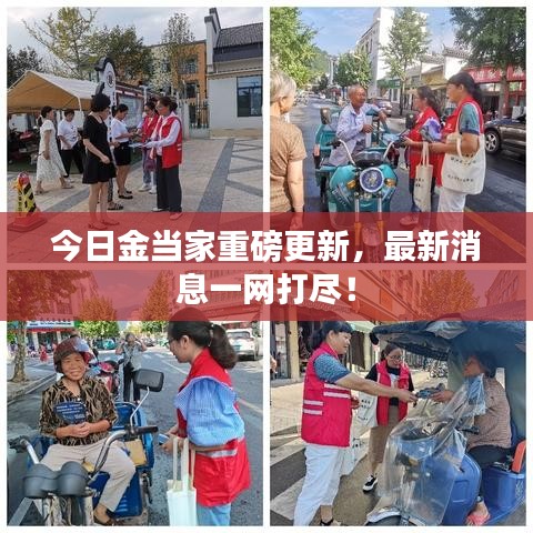 今日金當家重磅更新，最新消息一網(wǎng)打盡！