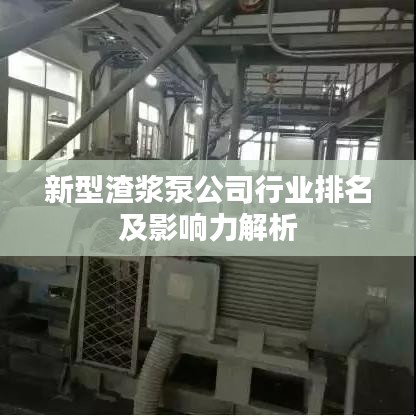 新型渣漿泵公司行業(yè)排名及影響力解析