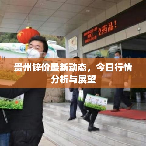 貴州鋅價最新動態(tài)，今日行情分析與展望