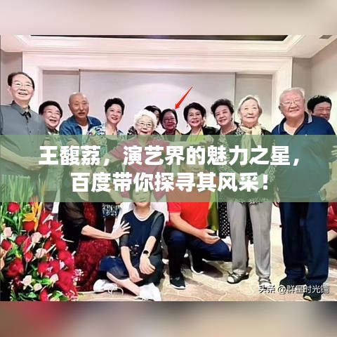 王馥荔，演藝界的魅力之星，百度帶你探尋其風(fēng)采！