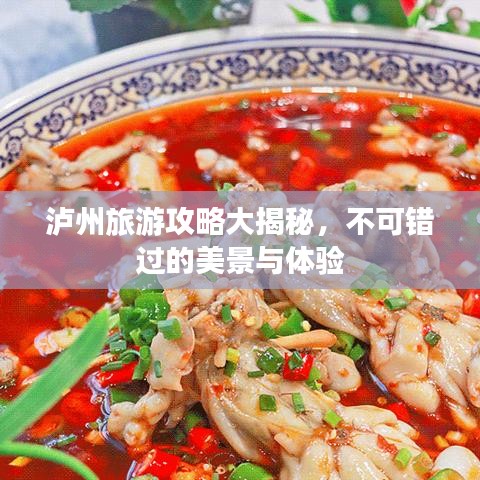 瀘州旅游攻略大揭秘，不可錯(cuò)過的美景與體驗(yàn)
