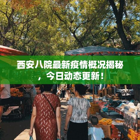 西安八院最新疫情概況揭秘，今日動態(tài)更新！