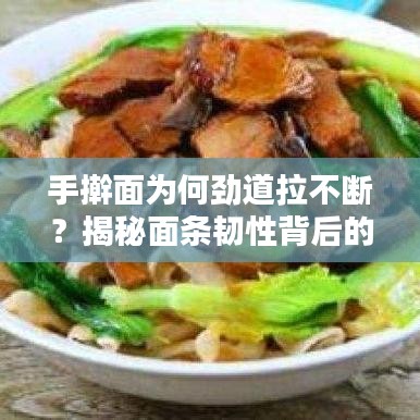 手搟面為何勁道拉不斷？揭秘面條韌性背后的秘密！