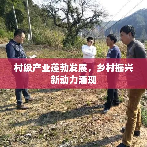 村級產(chǎn)業(yè)蓬勃發(fā)展，鄉(xiāng)村振興新動力涌現(xiàn)
