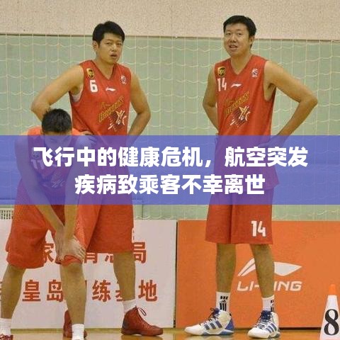 飛行中的健康危機，航空突發(fā)疾病致乘客不幸離世
