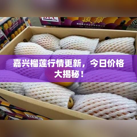 學(xué)而不厭