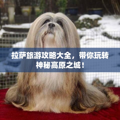 拉薩旅游攻略大全，帶你玩轉(zhuǎn)神秘高原之城！