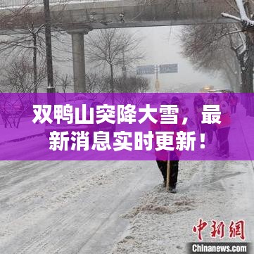 雙鴨山突降大雪，最新消息實時更新！