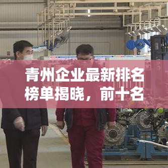 青州企業(yè)最新排名榜單揭曉，前十名企業(yè)大放異彩！