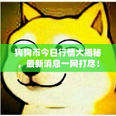 狗狗幣今日行情大揭秘，最新消息一網(wǎng)打盡！