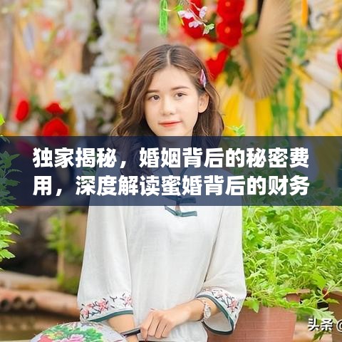 獨(dú)家揭秘，婚姻背后的秘密費(fèi)用，深度解讀蜜婚背后的財(cái)務(wù)真相