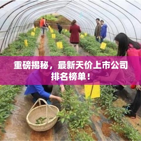 重磅揭秘，最新天價上市公司排名榜單！