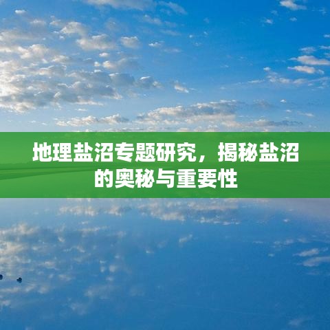 地理鹽沼專(zhuān)題研究，揭秘鹽沼的奧秘與重要性
