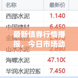 最新債券行情播報，今日市場動態(tài)揭秘！