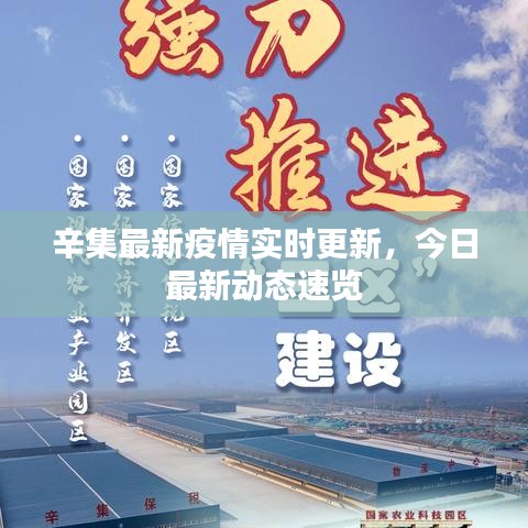 辛集最新疫情實(shí)時更新，今日最新動態(tài)速覽