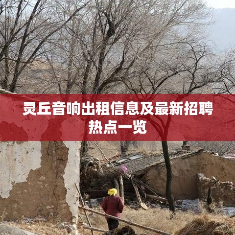 靈丘音響出租信息及最新招聘熱點(diǎn)一覽