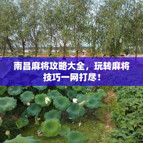 刺股讀書