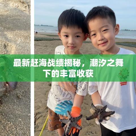 最新趕海戰(zhàn)績揭秘，潮汐之舞下的豐富收獲