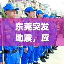 東莞突發(fā)地震，應(yīng)對(duì)與反思，深度剖析事件真相