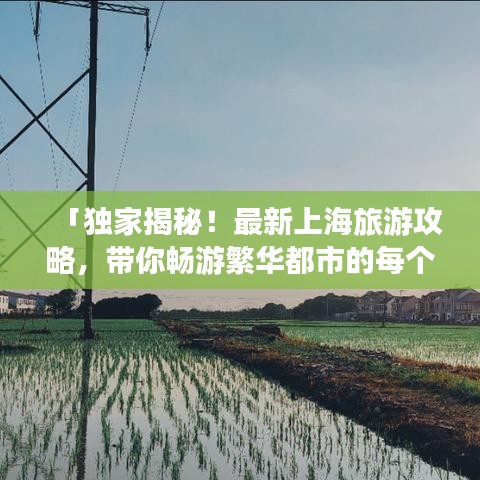 「獨(dú)家揭秘！最新上海旅游攻略，帶你暢游繁華都市的每個(gè)角落」