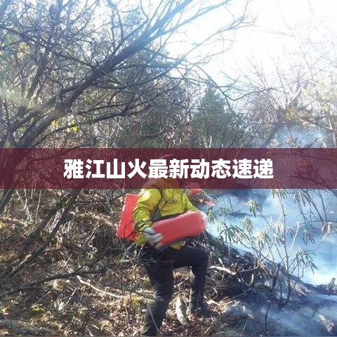雅江山火最新動(dòng)態(tài)速遞
