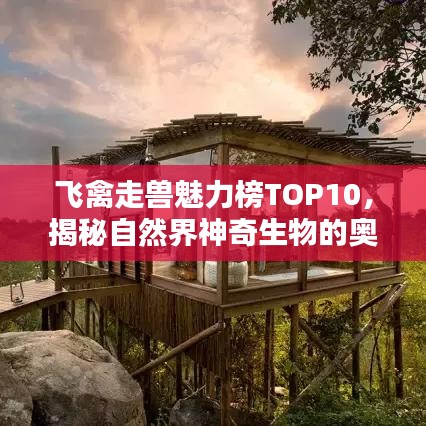飛禽走獸魅力榜TOP10，揭秘自然界神奇生物的奧秘