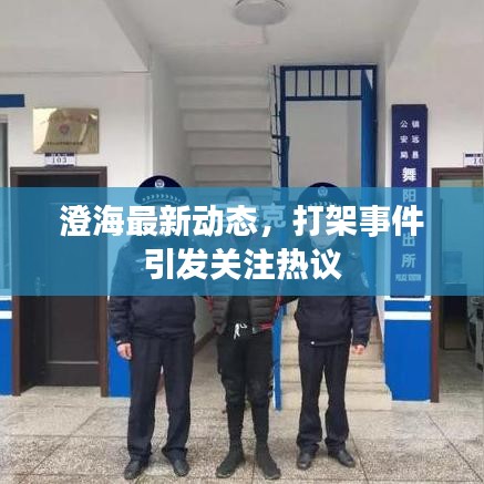 澄海最新動(dòng)態(tài)，打架事件引發(fā)關(guān)注熱議