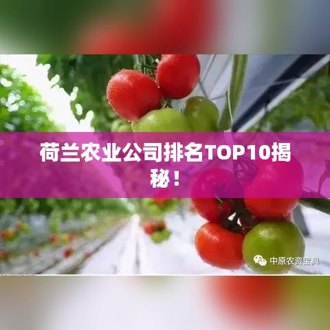 籠鳥檻猿