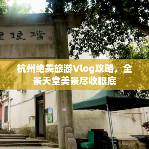 蛾眉曼睩