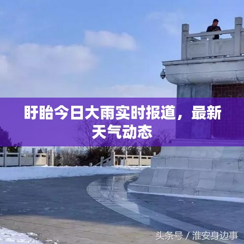 椎髻布衣
