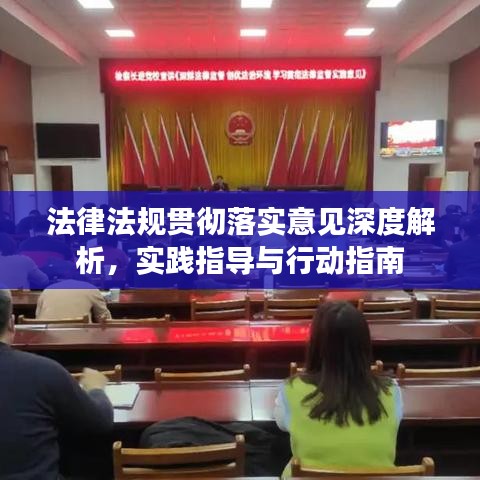 法律法規(guī)貫徹落實(shí)意見深度解析，實(shí)踐指導(dǎo)與行動(dòng)指南
