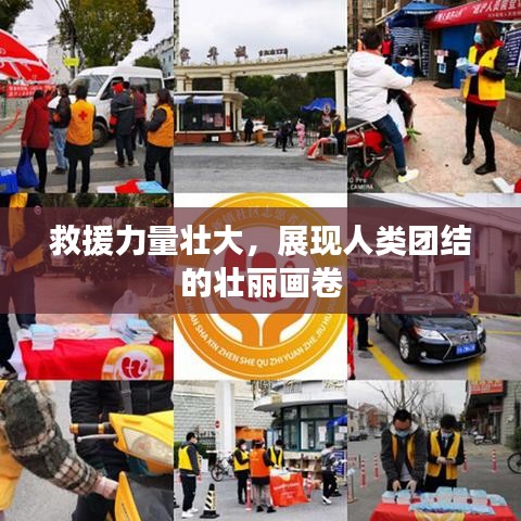 救援力量壯大，展現(xiàn)人類團(tuán)結(jié)的壯麗畫卷