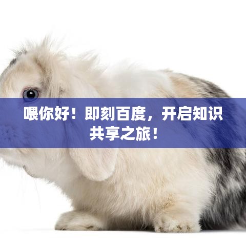 喂你好！即刻百度，開啟知識共享之旅！