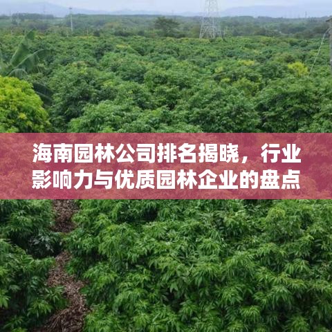 海南園林公司排名揭曉，行業(yè)影響力與優(yōu)質園林企業(yè)的盤點