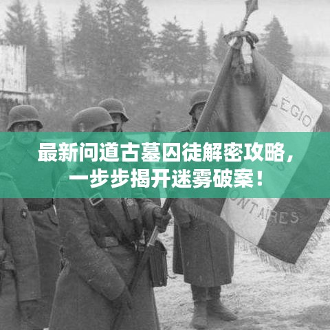 最新問道古墓囚徒解密攻略，一步步揭開迷霧破案！