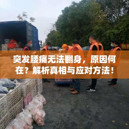 突發(fā)腰痛無法翻身，原因何在？解析真相與應(yīng)對(duì)方法！