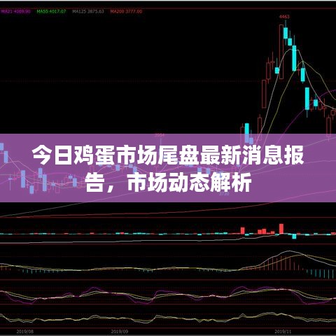 今日雞蛋市場(chǎng)尾盤(pán)最新消息報(bào)告，市場(chǎng)動(dòng)態(tài)解析