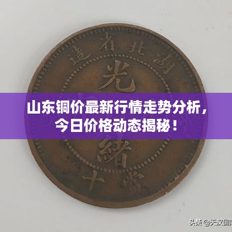 山東銅價最新行情走勢分析，今日價格動態(tài)揭秘！
