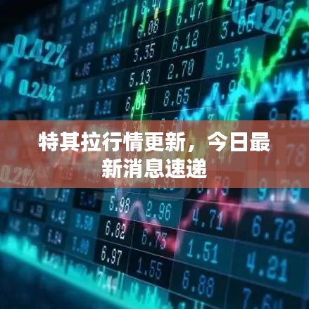特其拉行情更新，今日最新消息速遞
