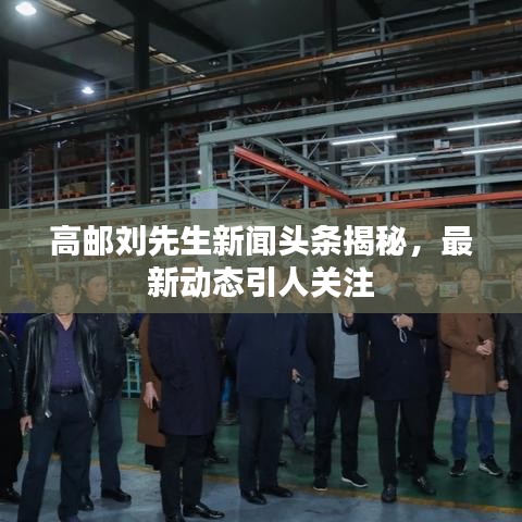 高郵劉先生新聞?lì)^條揭秘，最新動(dòng)態(tài)引人關(guān)注