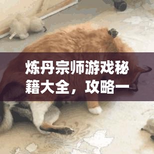 煉丹宗師游戲秘籍大全，攻略一網(wǎng)打盡！